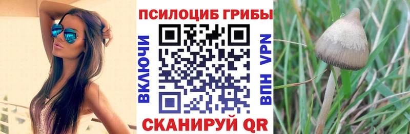 Галлюциногенные грибы мицелий  наркотики  Чердынь 